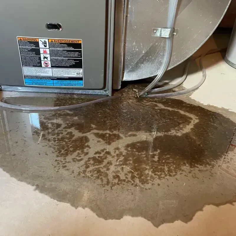 Appliance Leak Cleanup in Lakeway, TX